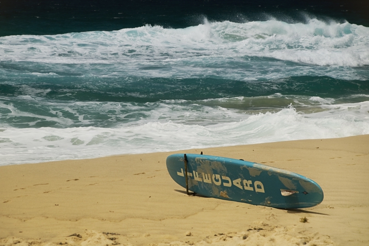 lifeguard